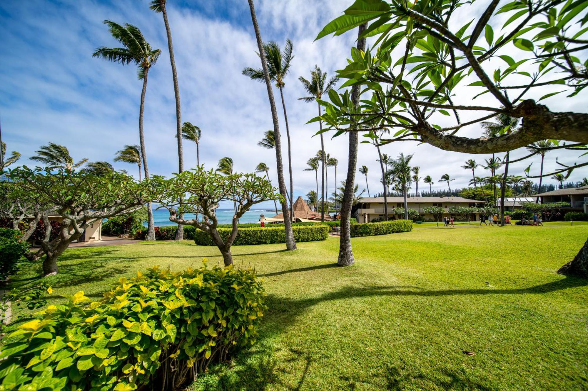 Napili Shores Maui By Outrigger - No Resort & Housekeeping Fees Lahaina Pokoj fotografie